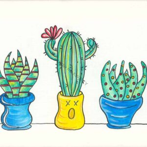 Cacti Fun